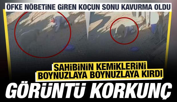 Dakikalarca süren dehşet: Sahibini kanlar içinde bıraktı