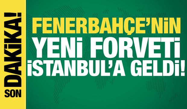 Fenerbahçe'nin yeni forveti İstanbul'a geldi