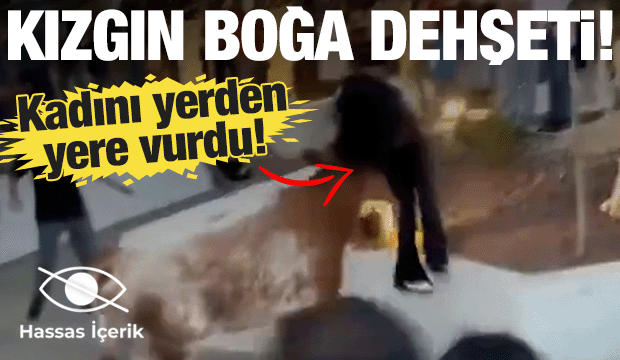 Meksika'da kızgın boğa dehşet sa&ccedil;tı! Yakaladığı kadını havaya fırlattı