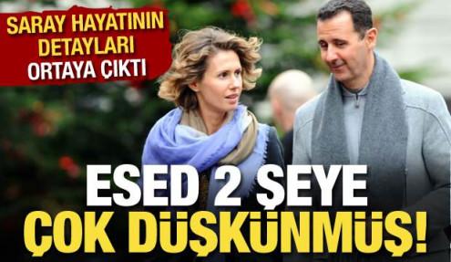 Esed'in saray hayatı ortaya çıktı: 2 şeye çok düşkündü!