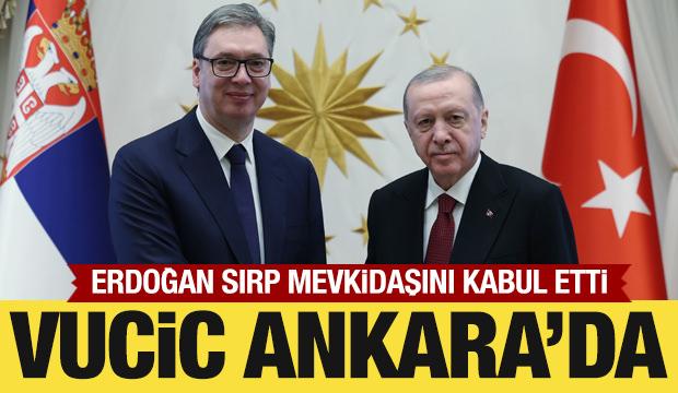 Cumhurbaşkanı Erdoğan, Sırbistan Cumhurbaşkanı Vucic ile görüştü