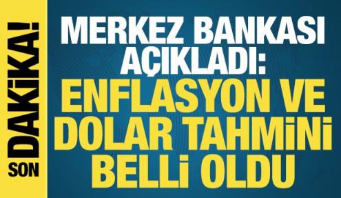 Merkez Bankası açıkladı: Piyasanın yıl sonu enflasyon ve dolar tahmini belli oldu