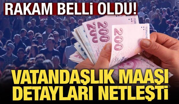 Vatandaşlık maaşı netleşiyor! Detaylar belli oldu