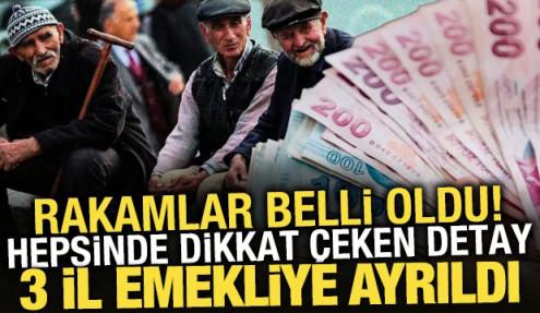 Zonguldak, Sinop ve Balıkesir'de emekli sayısı çalışanlardan fazla