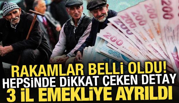 Zonguldak, Sinop ve Balıkesir'de emekli sayısı çalışanlardan fazla