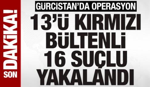Türkiye ve Gürcistan'dan ortak operasyon: 13'ü kırmızı bültenli 16 suçlu yakalandı