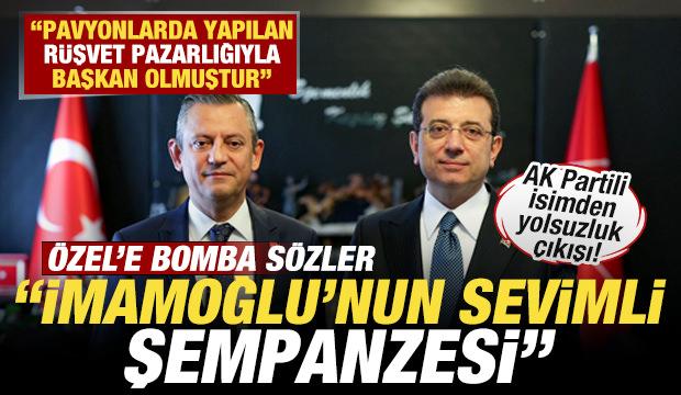 AK Partili isimden Özgür Özel'e bomba sözler: İmamoğlu'nun sevimli şempanzesi