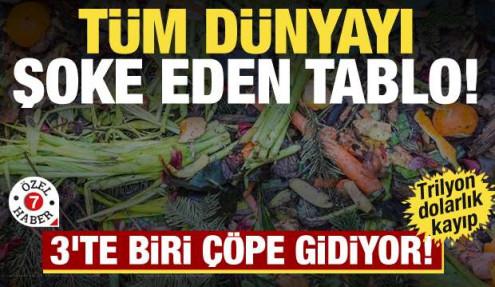 Çöpe giden servet dudak uçuklattı: Trilyon dolarlık kayıp 