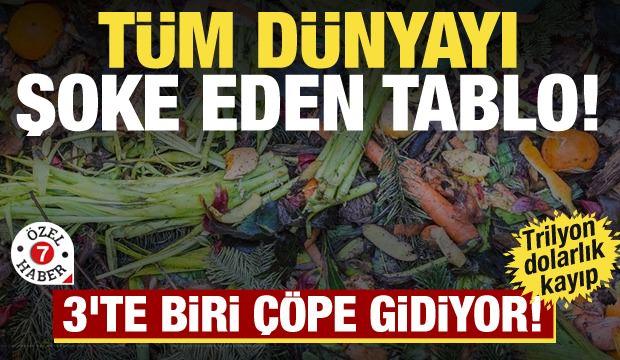 Çöpe giden servet dudak uçuklattı: Trilyon dolarlık kayıp 