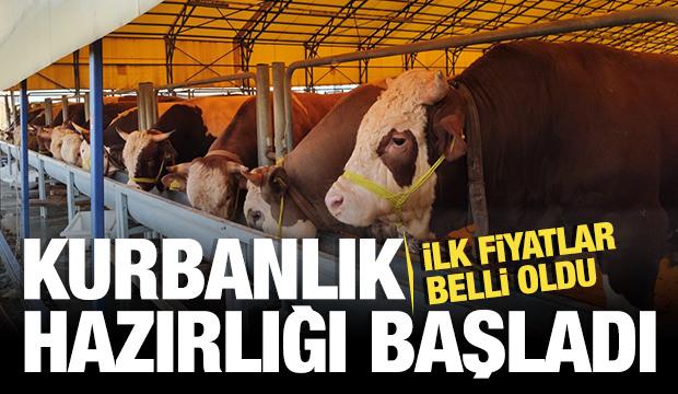 Kurbanlık pazarlıkları başladı: Fiyatlardaki y&uuml;kseliş dikkat &ccedil;ekti