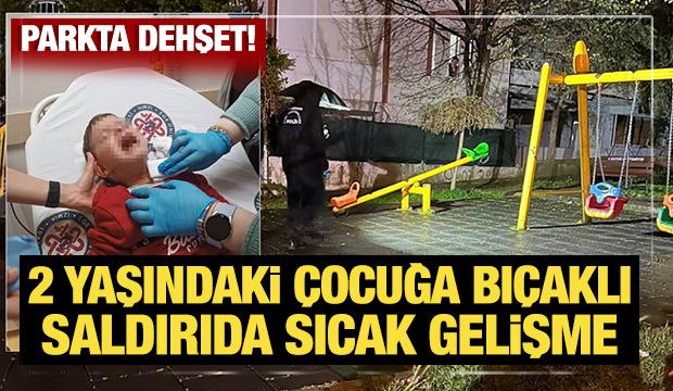 İzmir&rsquo;de parkta 2 yaşındaki &ccedil;ocuğa bı&ccedil;akla saldıran ş&uuml;pheli tutuklandı