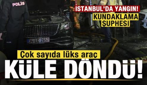 İstanbul'da yangın! Çok sayıda lüks araç küle döndü! Kundaklama şüphesi