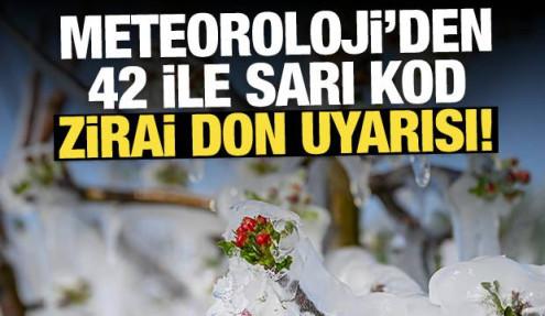 Zirai don uyarısı geldi: Meteoroloji'den 42 ile sarı kod!
