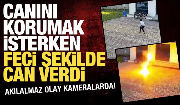 Hindistan'da akılalmaz olay! Maymunu kovalamak isterken canından oldu