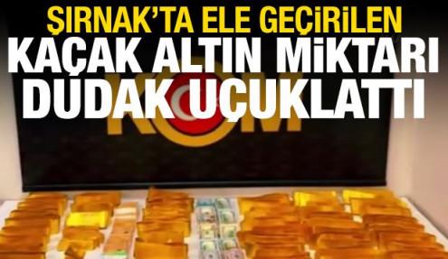 Şırnak'ta ele geçirilen kaçak altın, dolar ve euro miktarı dudak uçuklattı