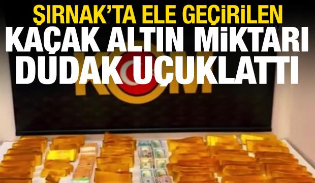 Şırnak'ta ele geçirilen kaçak altın, dolar ve euro miktarı dudak uçuklattı