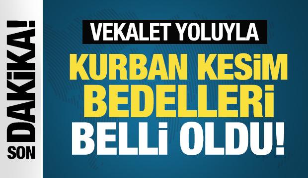 Vekalet yoluyla kurban kesim bedelleri açıklandı! İşte rakamlar...