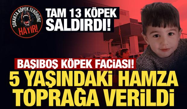Başıboş k&ouml;pek faciası! 5 yaşındaki Hamza toprağa verildi