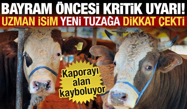 Kurban Bayramı öncesi kritik uyarı: Yeni tuzak 'pes' dedirtti!