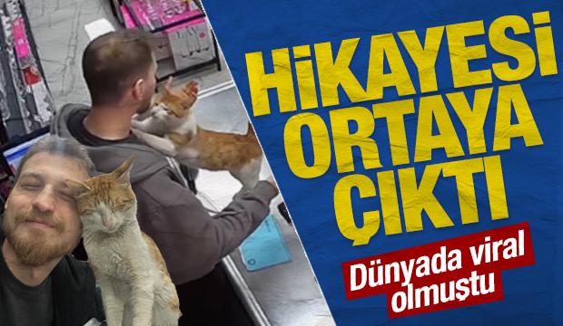 Esnafın hayat kurtaran şefkatine kediden her g&uuml;n vefa sarılması