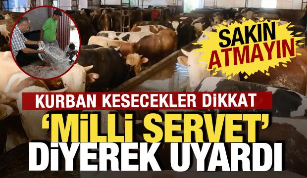 Kurban kesecekler dikkat! Milli servet diyerek uyardı