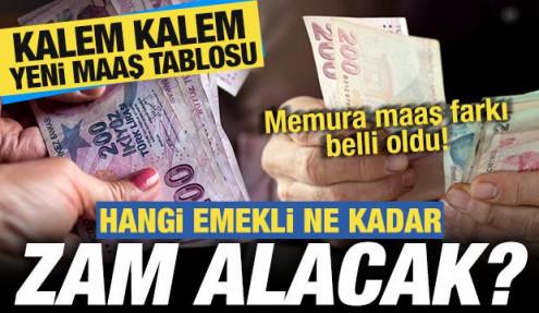 Hangi emekli ne kadar zam alacak? Kalem kalem yeni maaş tablosu! Memura yüzde 5 fark