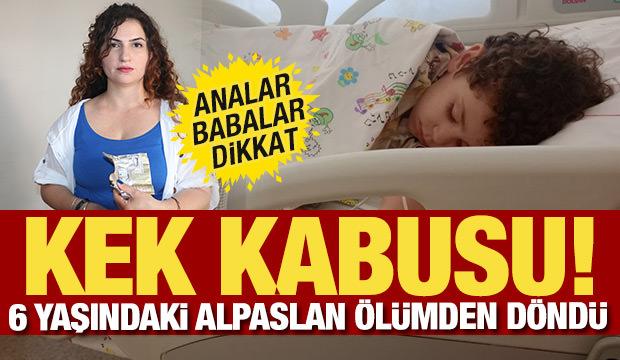 Antalya'da &ccedil;ikolatalı kek kabusu! 6 yaşındaki &ccedil;ocuk hastanelik oldu
