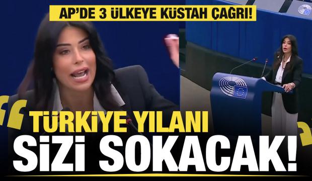 AP vekili Latinopoulou'dan 3 ülkeye küstah çağrı: Türkiye yılanı sizi sokacak!