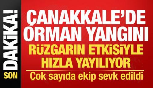 Çanakkale'de korkutan orman yangını! Alevler kısa sürede yayıldı