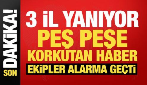 Antalya, Çanakkale ve Balıkesir'de orman yangını! Çok sayıda ekip sevk edildi