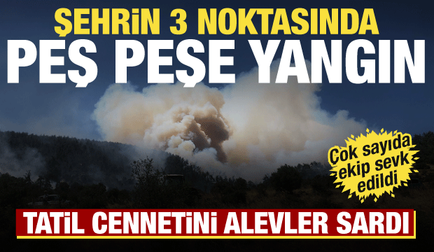 Balıkesir'de peş peşe yangın! Tatil bölgesini alevler sardı