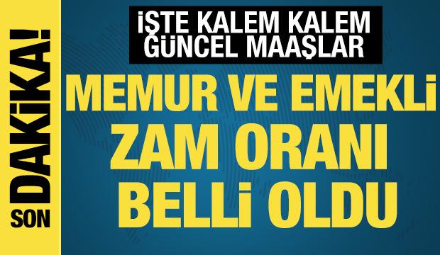 Memur ve memur emeklisinin beklediği zam oranı belli oldu! İşte güncel maaşlar