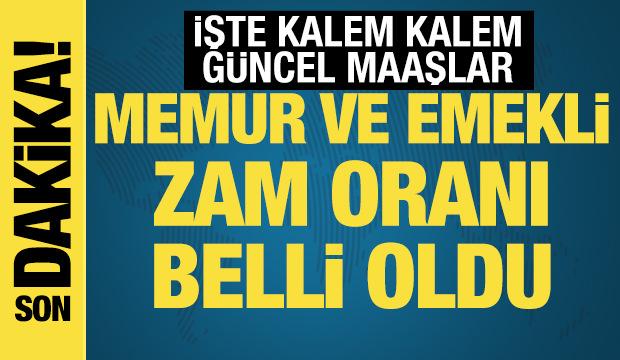 Memur ve memur emeklisinin beklediği zam oranı belli oldu! İşte güncel maaşlar