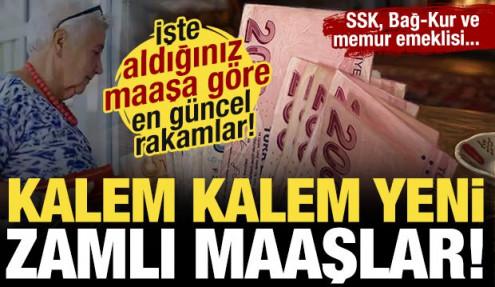 SSK, Bağ-Kur ve memur emeklileri için zamlı yeni maaşlar! İşte kalem kalem maaş tablosu!