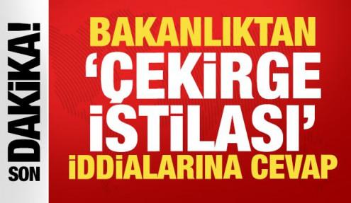 İstanbul'daki çekirgeler istilacı değil yerli çıktı: Biyolojik dengeye katkı sağlıyorlar