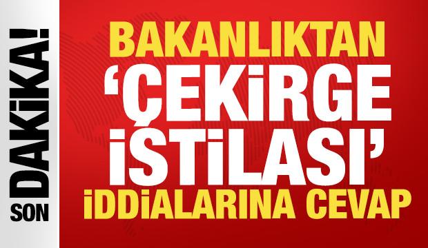 İstanbul'daki çekirgeler istilacı değil yerli çıktı: Biyolojik dengeye katkı sağlıyorlar