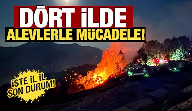 4 ilde orman yangını! İste son durum