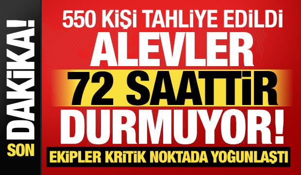 Aydın'da orman yangınlarının 3. günü! Müdahale sürüyor