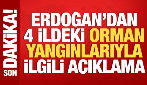 Cumhurbaşkanı Erdoğan'dan orman yangınlarıyla ilgili açıklama