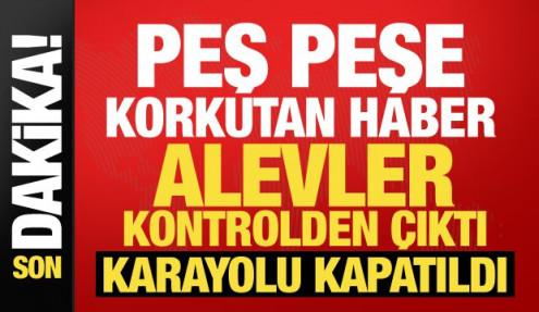 Muğla ve Antalya'da orman yangını! Alevler kontrolden çıkıyor...
