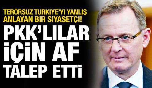 Almanya'daki PKK'lılar için af talebi