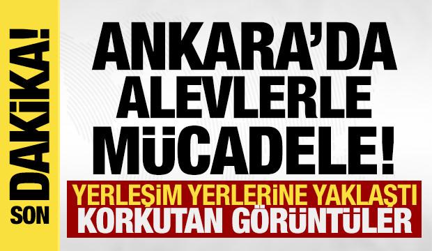 Son dakika: 3 ilde yangın paniği! Çok sayıda ekip bölgede