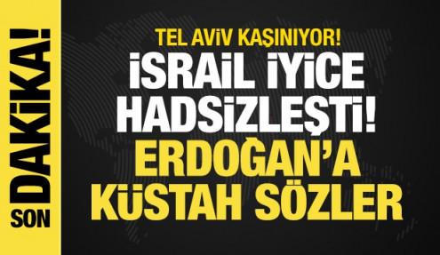 Tel Aviv kaşınıyor! İsrail'den Erdoğan'a küstah sözler