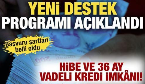 İşletmelere yeni devlet desteği: Aylık 3 bin 500 TL hibe ve 36 ay vadeli kredi imkânı!
