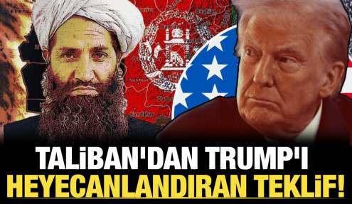 Taliban'dan Trump'ı heyecanlandıran teklif: Yer altında servet yatıyor!