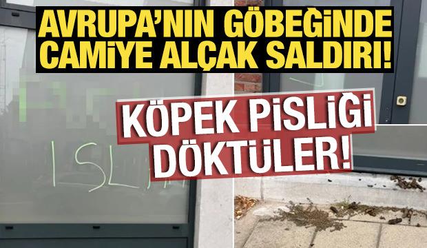 Avrupa'nın göbeğinde camiye alçak saldırı! Köpek pisliği döktüler