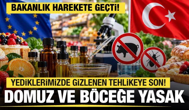 Gıdada aroma devri değişiyor! Domuz ve böcek kaynaklı aroma vericiler kullanılamayacak!