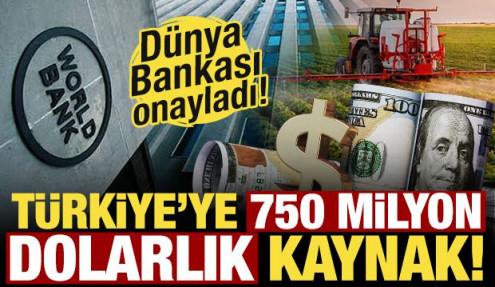 Dünya Bankası onayladı: Tarıma 750 milyon dolarlık kaynak