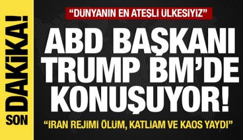 Son dakika... BM hitabı öncesi ilk mesajı Putin'e verdi: İşte Trump'ın açıklamaları...
