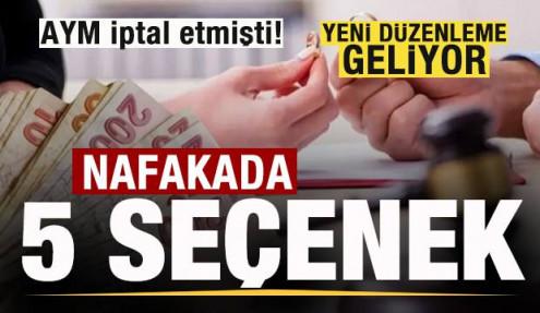 AYM iptal etmişti! Nafaka için beş formül! Yeni düzenleme geliyor